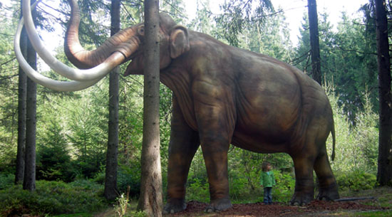 Mammoth