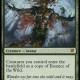 Essence of the Wild